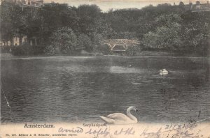 lot291 amsterdam sarphatipark swan netherlands