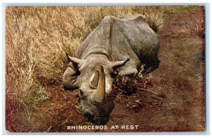 Roosevelt Tour Postcard Rhinoceros At Rest Animal Topeka Kansas KS c1910's