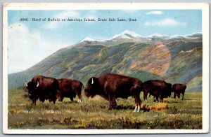 Great Salt Lake Utah 1939 Postcard Herd Of Buffalo on Antelope Island