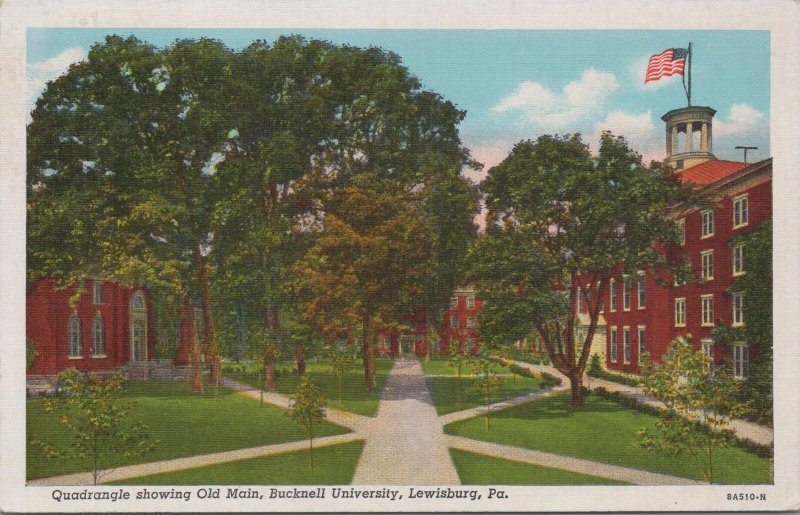 Postcard Quadrangle Showing Old Main Bucknell University Lewisburg PA