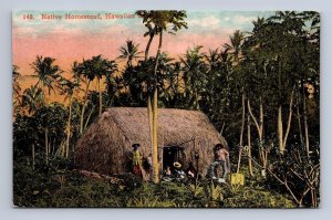 142 NATIVE HOMESTEAD HAWAIIAN ISLANDS HAWAII POSTCARD (c.1910)