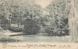 HARTFORD CT~RUSTIC BRIDGE-ELIZABETH PARK~ANTIQUE 1908 ROTOGRAPH PHOTO POSTCARD