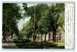 1906 Lynn Massachusetts MA, The Common Street View Undivided Back Postcard