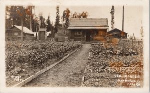 Anchorage Alaska Vegetable Garden Strye RPPC Postcard H54 *as is
