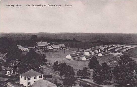 Connecticut Storrs Poultry Plant The University Of Connecticut  Albertype