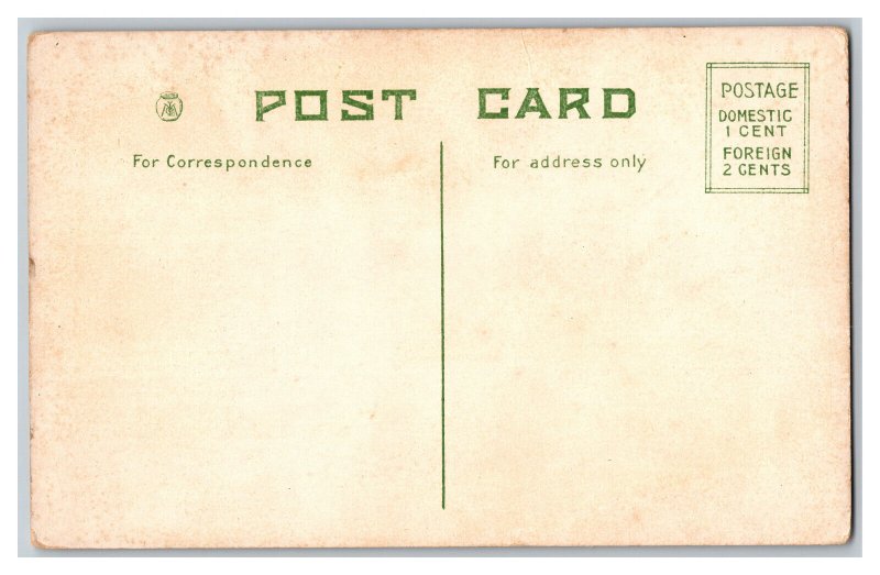 Postcard A Happy Birthday Little Messenger U. S. Postman 