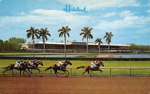 A Thrilling Race  Hialeah Race Course Miami, Florida USA View Images 
