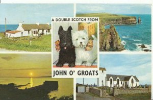Scotland Postcard - A Double Scotch from John O'Groats - Caithness - Ref 2537A