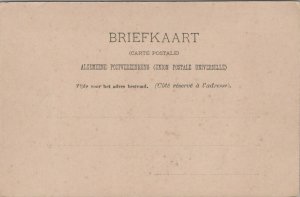 Netherlands Enkhuizen Plantsoen Vintage Postcard 04.08