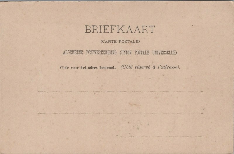 Netherlands Enkhuizen Plantsoen Vintage Postcard 04.08