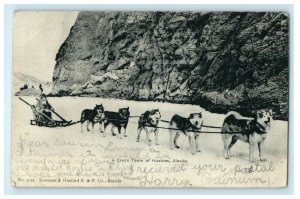 1903 A Crack Team of Huskies Sleigh in Alaska AK Antique Postcard