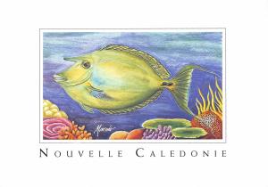 BT12681 Le dawa fish piossons Nouvelle caledonie      New Caledonia