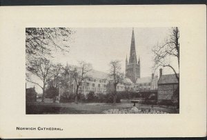 Norfolk Postcard - Norwich Cathedral    RT1265