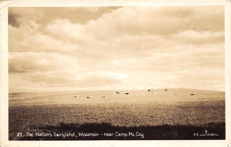 Wisconsin~Dairyland Scene~Holstein Cows in Pastre~near Camp McCoy~1943 RPPC