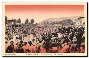 Old Postcard Horse Riding Equestrian Cavaillon Hippodrome weighing
