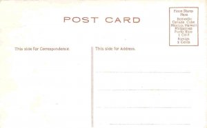 Steamer Navigating Night New York Harbor Statue Liberty New York City postcard