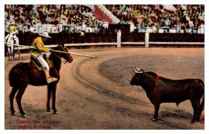 Bull Fighting  Inviting a Charge