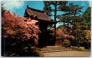 Postcard - Oriental Tea Garden, Golden Gate Park - San Francisco, California