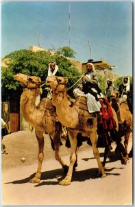VINTAGE POSTCARD BEDOUIN MEN ON CAMELS AT BEERSHEBA ISRAEL c. 1960s