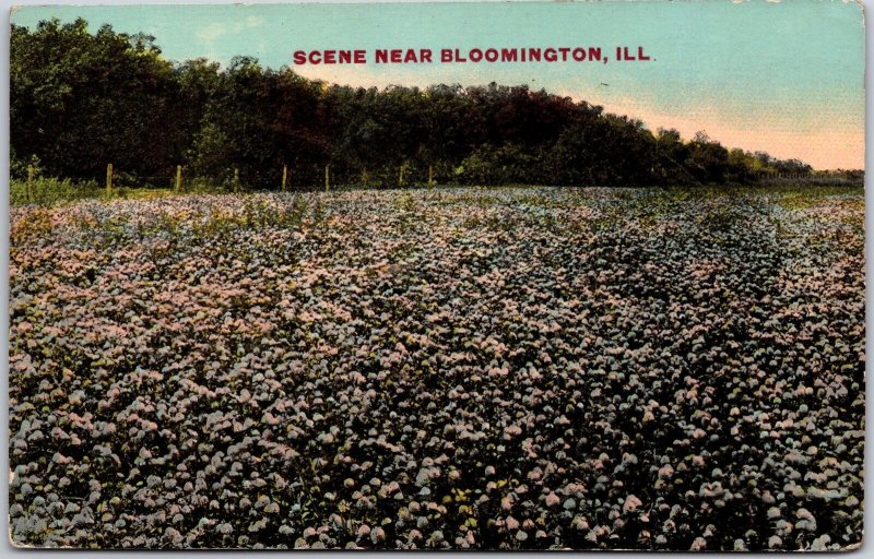 Illinois ILL, Scene near Bloomington, Flowers Garden, Botanical Farm, Postcard