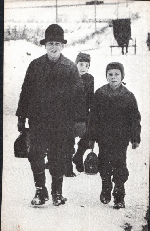 Amish Lads in the Snow Postcard