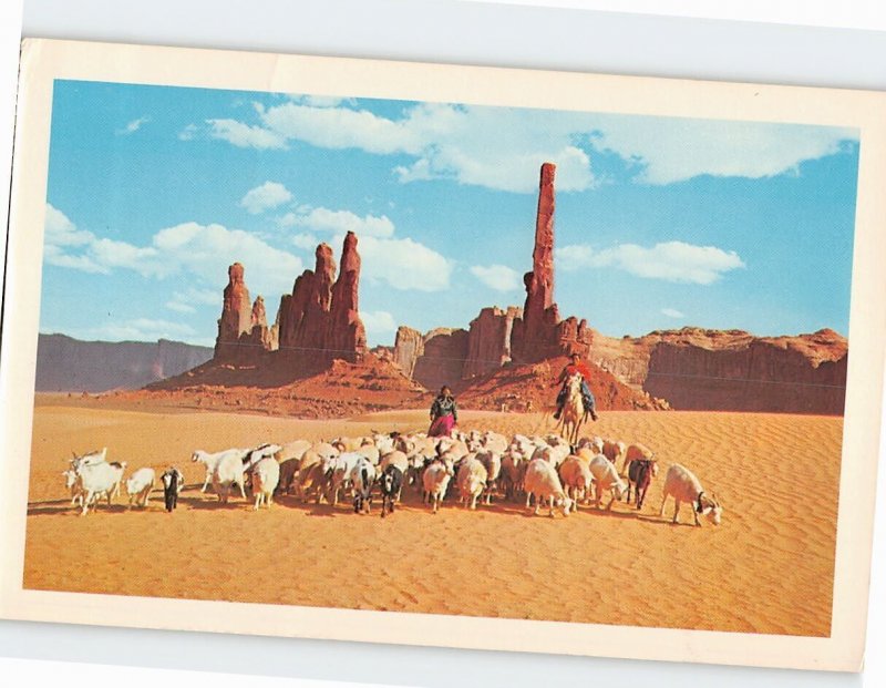 Postcard Navajo Women, Taking their sheep to water in beautiful Monument Valley