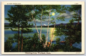 1940's Silvery Moonlight Greetings From Wayland Michigan MI Posted Postcard