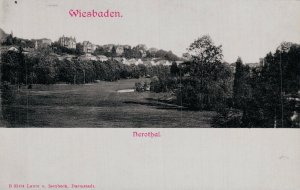 Germany Wiesbaden Nerotal Vintage Postcard 07.94