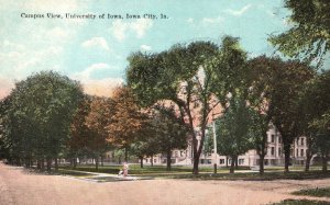 University Of Iowa Campus Pine Trees & Street View Iowa City IA Postcard