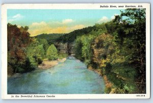 1930 Harrison Arkansas AR Vintage Postcard Buffalo River Ozarks Aerial View Tree