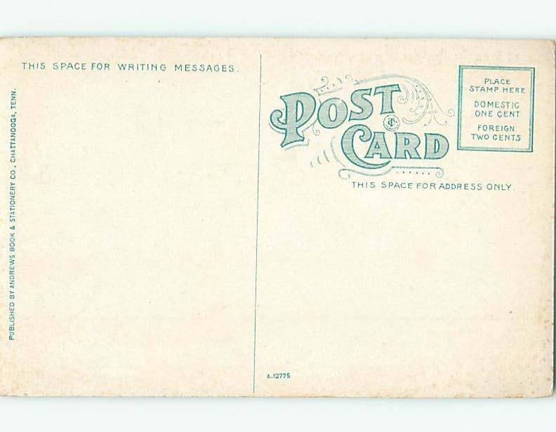 Unused Divided-Back POSTCARD FROM Chattanooga Tennessee TN HM5837