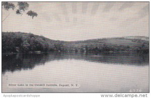 Silver Lake In The Catskill Foothills Deposit New York Dexter Press