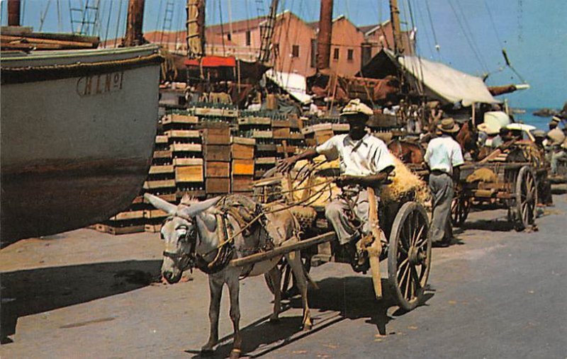 Donkey and Horse Drawn Carts Barbados West Indies Unused 