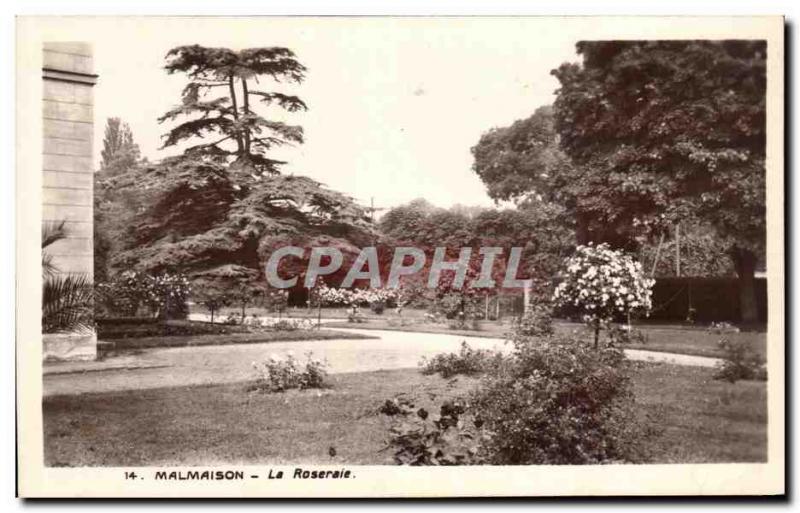 Old Postcard Malmaison The Rose Garden