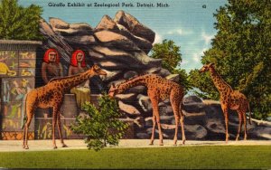 Michigan Detroit Zoological Park Giraffe Exhibit