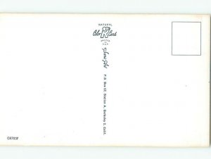 Pre-1980 Risque Comic BIKINI GIRL TOUCHES SUNBURN ON BACK AB7059@