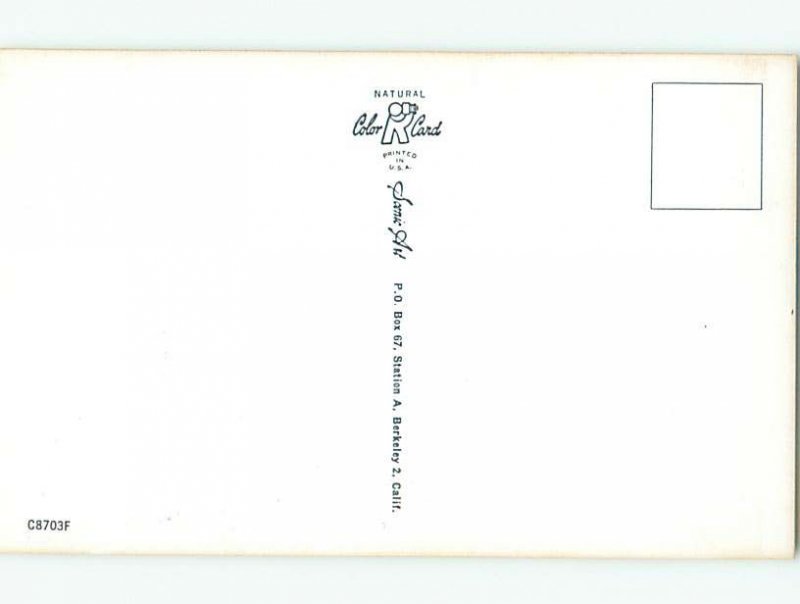 Pre-1980 Risque Comic BIKINI GIRL TOUCHES SUNBURN ON BACK AB7059@