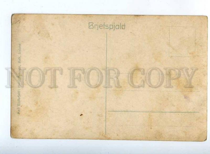 206561 ICELAND Arnesstapi Vintage photo postcard