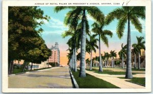 M-24147 Avenue Of Royal Palms Or President's Avenue Havana Cuba