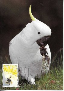 Bird of Australia  Australia Maximum card issued