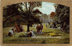 Horse and Hay Scene - White Lake, New York NY Postcard