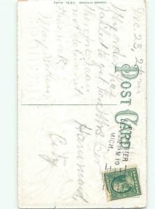 Divided-Back BEAUTIFUL FLOWERS SCENE Great Postcard AA2386