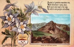 Vintage Postcard 1911 Columbine State Flower Mount Of The Holy Cross Colorado CO