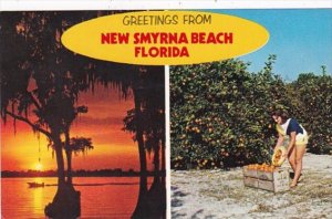 Florida Greetings From New Smyrna Beach