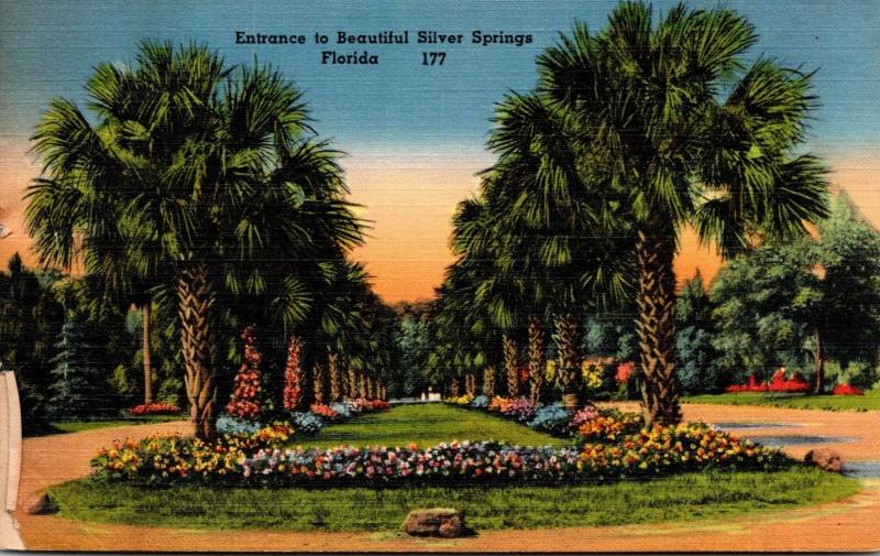 Florida Silver Springs Entrance