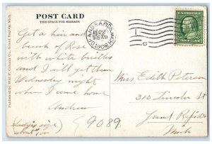 1909 North Park Pavilion Grand Rapids Michigan MI Antique Posted Postcard 