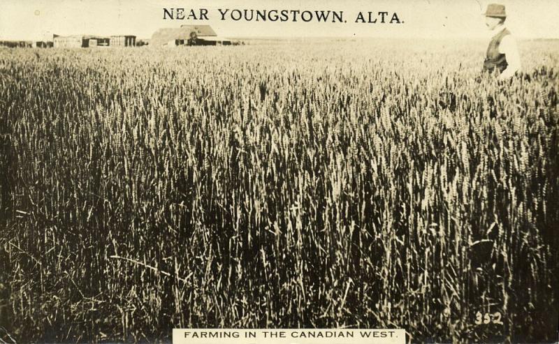 canada, YOUNGSTOWN, ALTA., Farming in the Canadian West (1915)  RPPC (2)