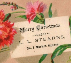 1880s L.L. Stearns Merry Christmas Card Fab! P98