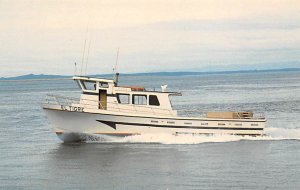 Olympic Sportfishing Westport, Washington, USA Postcard