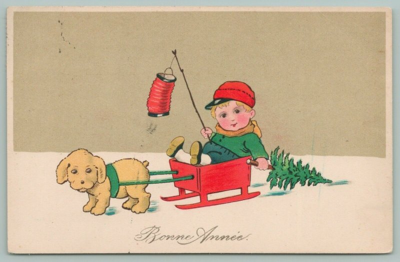 New Year~Puppy Pulls Lil Boy In Red Box Sled~Drags Tree~Red Japanese Lantern 